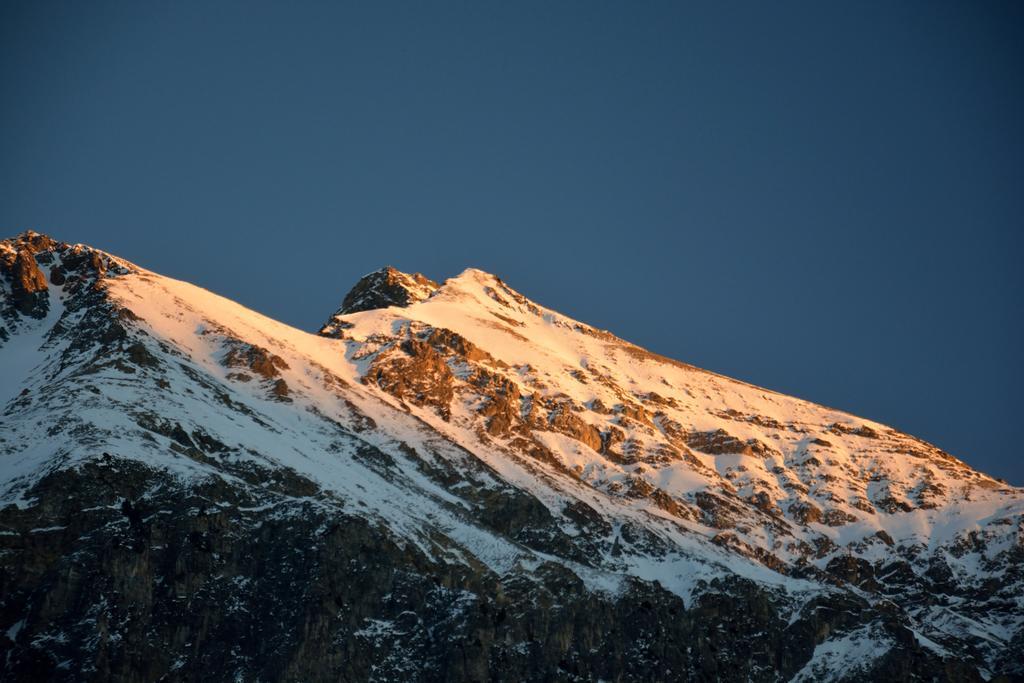 Ferienwohnungen Chesa Clois 24 Lenzerheide Dış mekan fotoğraf
